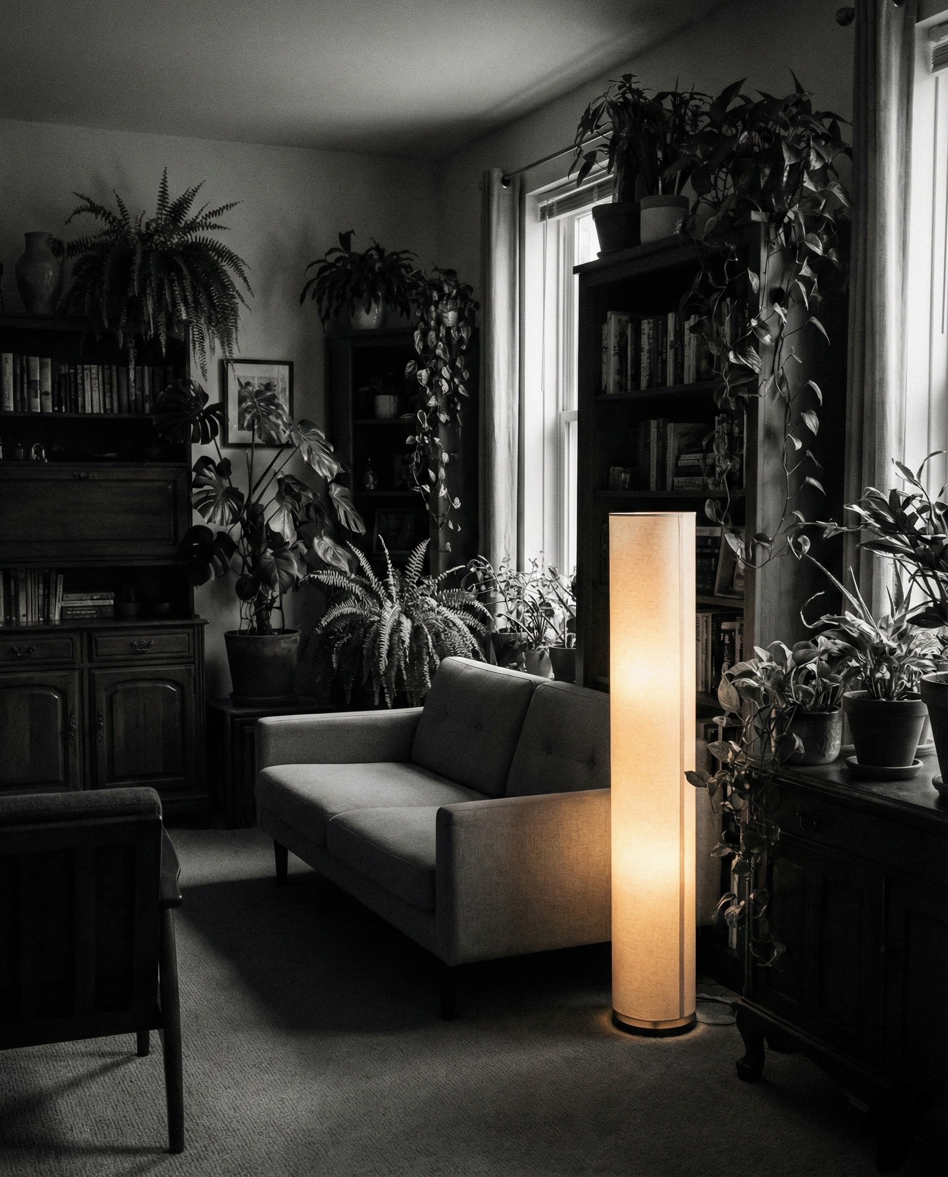 間接照明と観葉植物のある部屋